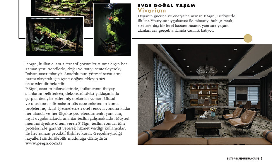 P.Sign proje yayını kesiti 5